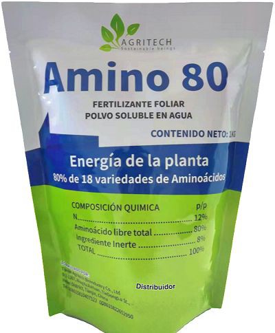 Amínó 80